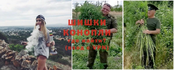 молекула духа Абинск