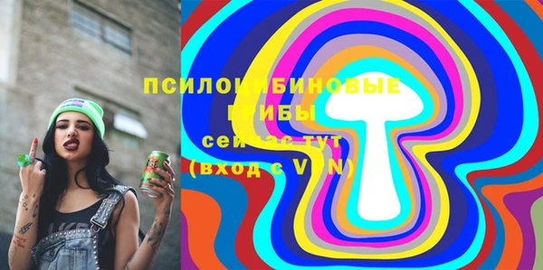 ECSTASY Абаза